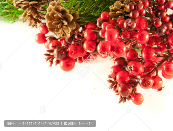 紅色漿果的圣誕花環(huán)；毛皮樹和松果