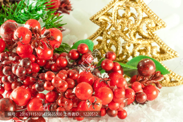 圣誕樹(shù)枝與一個(gè)金色的毛皮樹(shù)對(duì)雪