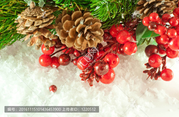 圣誕樹枝與一個金色的毛皮樹對雪