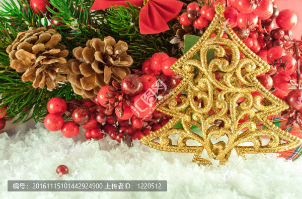 圣誕樹(shù)枝與一個(gè)金色的毛皮樹(shù)對(duì)雪