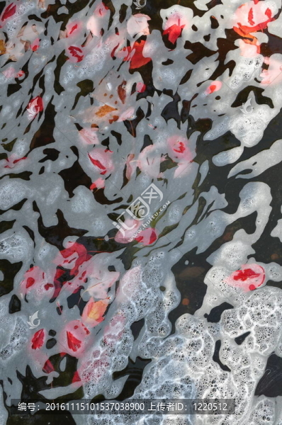 旋轉(zhuǎn)的肥皂水和花