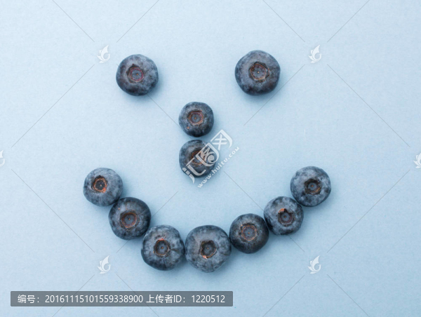 藍(lán)莓-匯圖網(wǎng) www.fosd68.com 藍(lán)莓