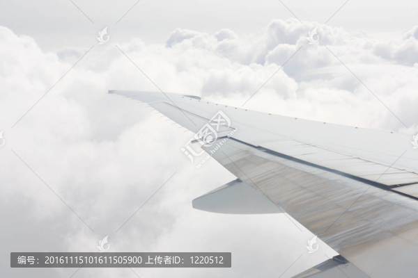 翼
