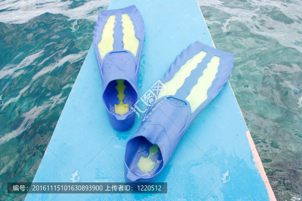 鰭