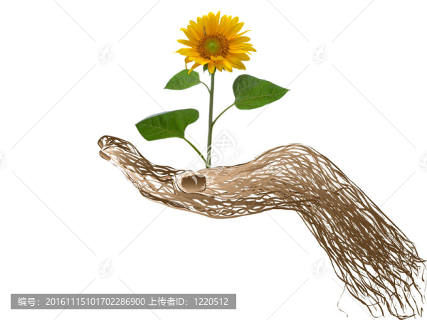 插圖的花