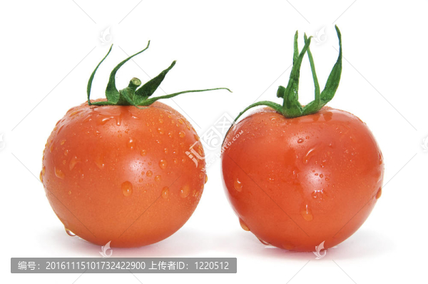 西紅柿