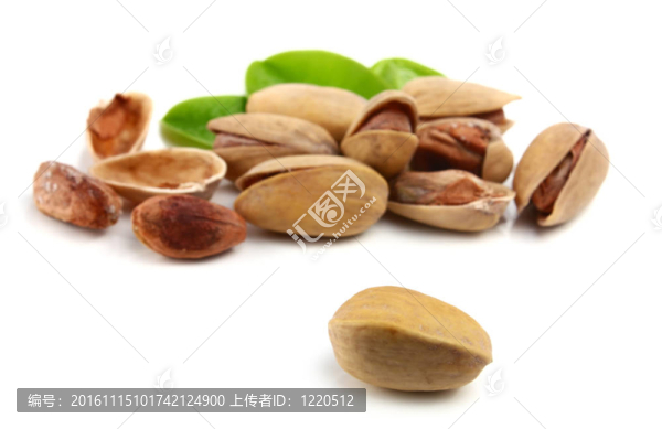 開(kāi)心果-匯圖網(wǎng) www.fosd68.com 開(kāi)心果