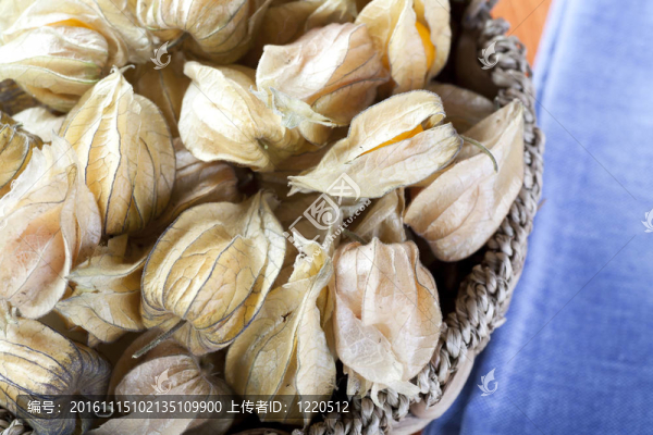 酸漿果筐