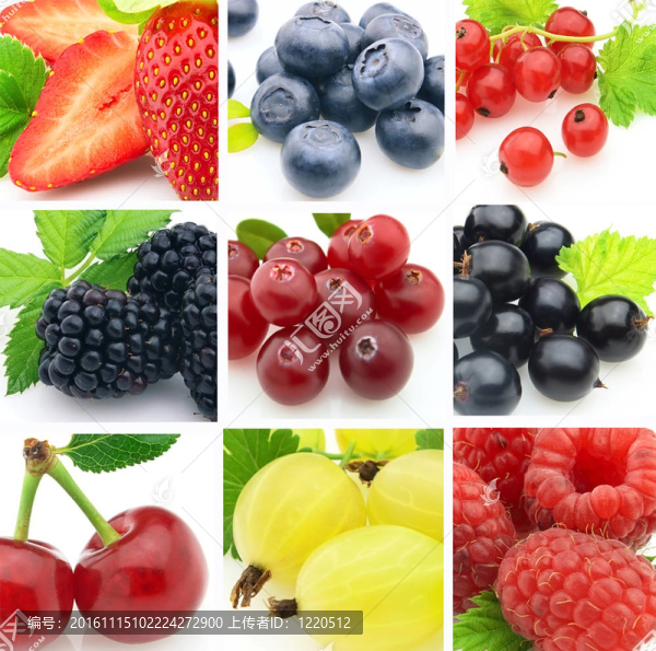 新鮮的漿果
