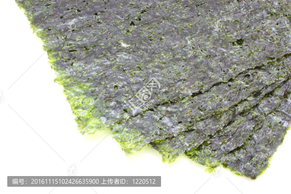 sushennaja海甘藍