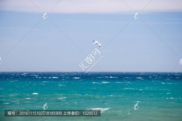 地中海沿岸法國里維埃拉