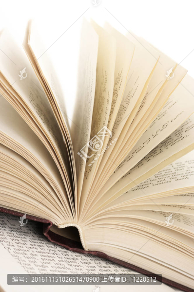 打開書特寫