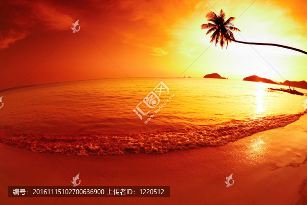 熱帶的幻想