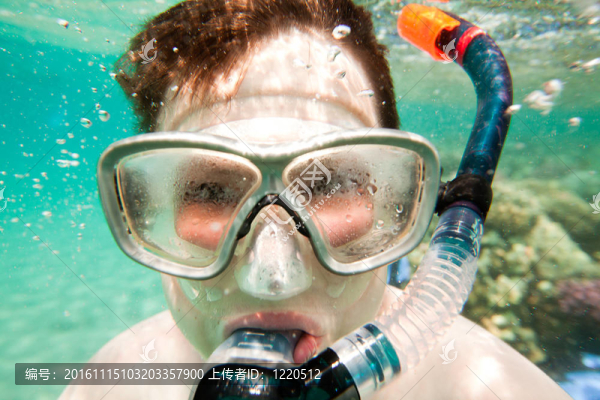 Snorkeler。紅海