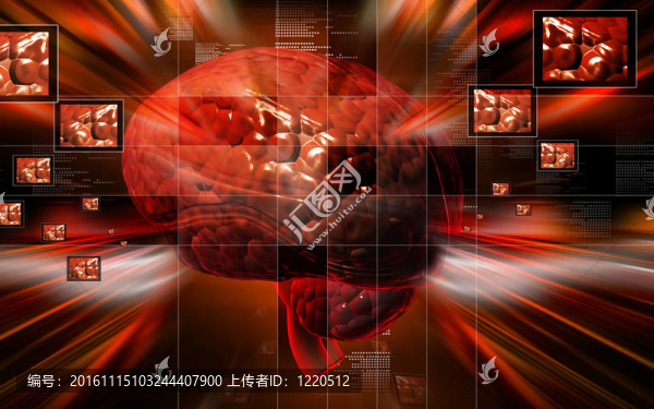 腦
