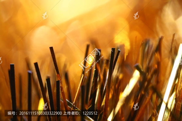 節(jié)日背景-匯圖網(wǎng) www.fosd68.com 節(jié)日背景