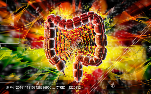 大腸