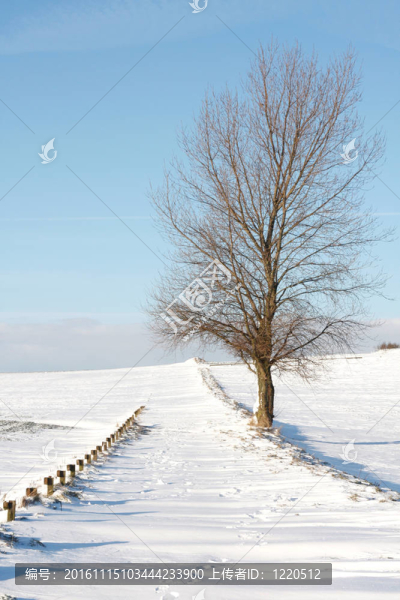 雪