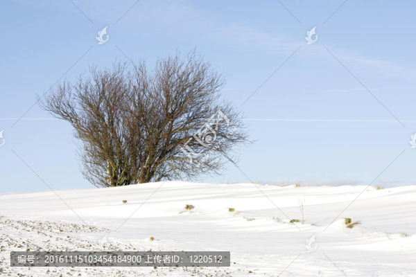 雪