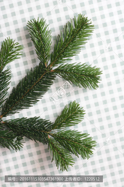 小枝-匯圖網(wǎng) www.fosd68.com 小枝