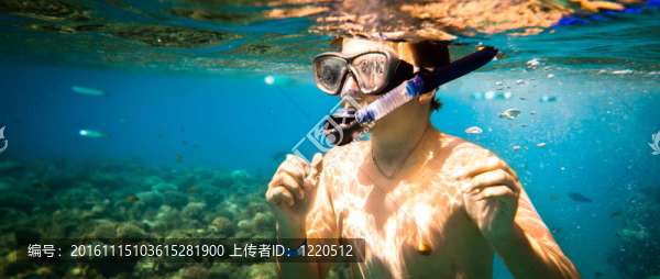 Snorkeler。紅海