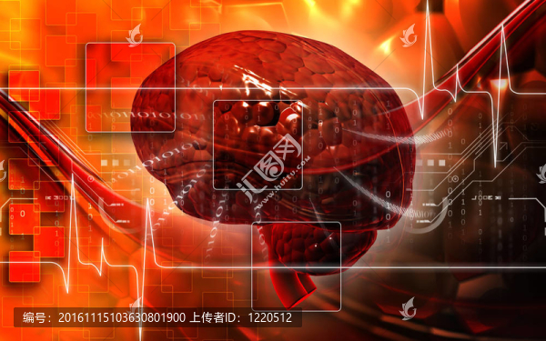腦