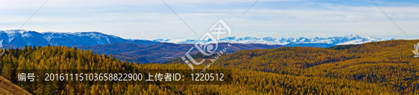 山全景