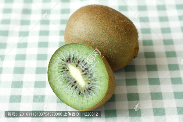 幾維鳥-匯圖網(wǎng) www.fosd68.com 幾維鳥