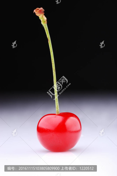 兩個(gè)櫻桃-匯圖網(wǎng) www.fosd68.com 兩個(gè)櫻桃