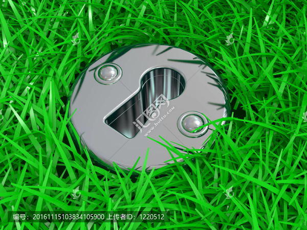 綠草上的鑰匙孔-匯圖網(wǎng) www.fosd68.com 綠草上的鑰匙孔