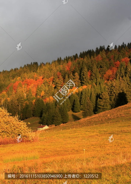 秋天的夕陽下美麗的風(fēng)景