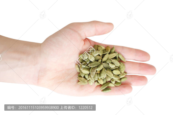 豆蔻