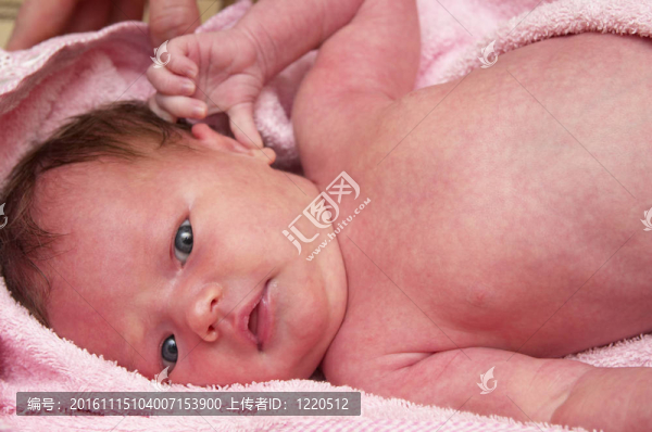 新生的嬰兒-匯圖網(wǎng) www.fosd68.com 新生的嬰兒