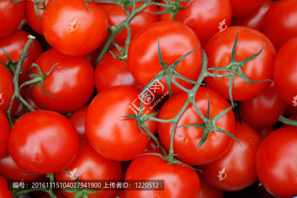 西紅柿