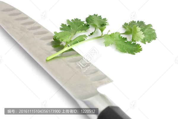 香菜