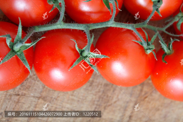 西紅柿