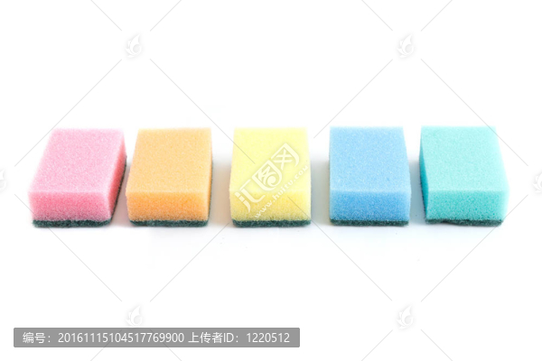 海綿