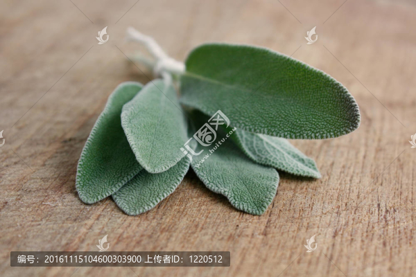 圣人