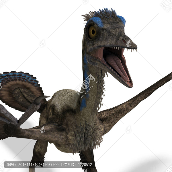 Dinosaur,Archaeopteryx。3D渲染與剪輯路徑和陰影超過白色