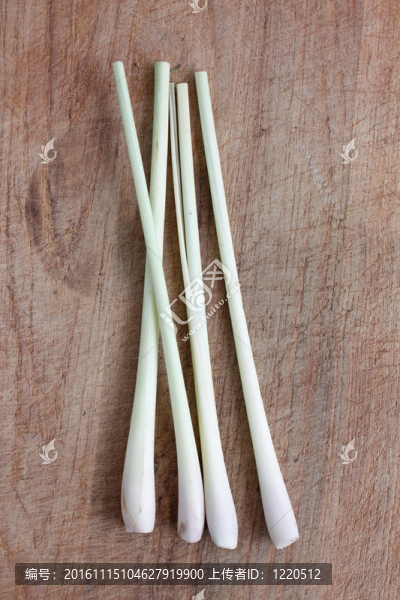 檸檬草