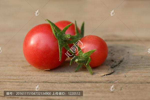三圣女果