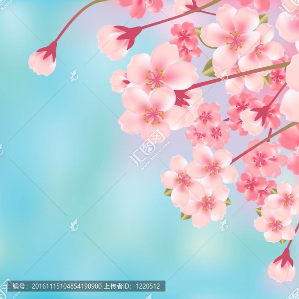 摘要櫻花