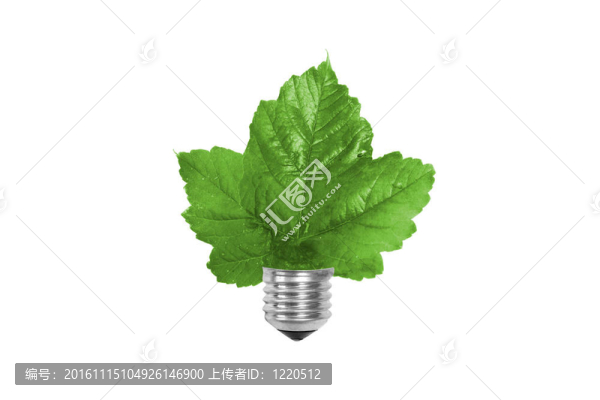 概念的光