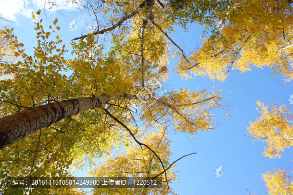 美麗的秋天的時(shí)間-匯圖網(wǎng) www.fosd68.com 美麗的秋天的時(shí)間