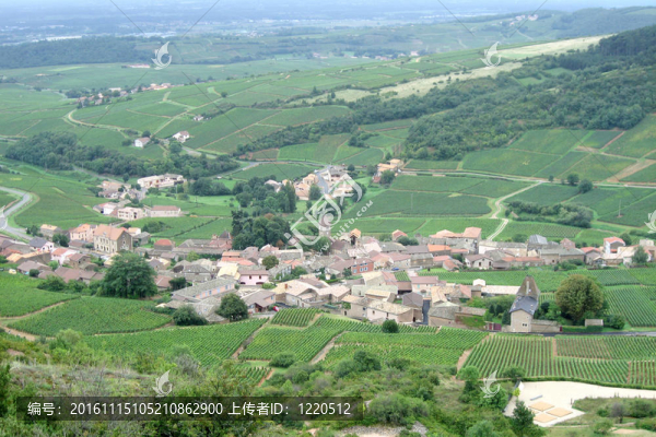 村-匯圖網(wǎng) www.fosd68.com 村