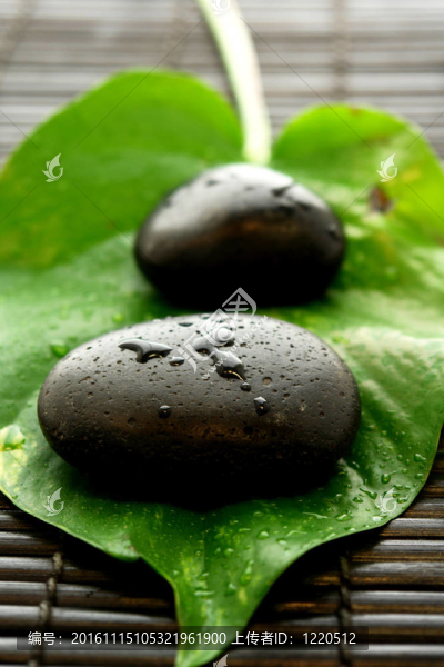 禪SPA