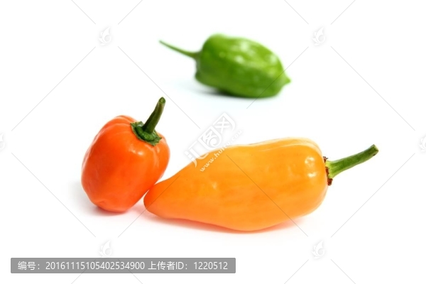 辣椒辣椒辣椒辣的辣椒在世界上從墨西哥