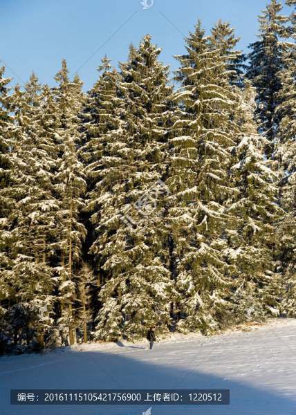 孤獨(dú)的小-匯圖網(wǎng) www.fosd68.com 孤獨(dú)的小