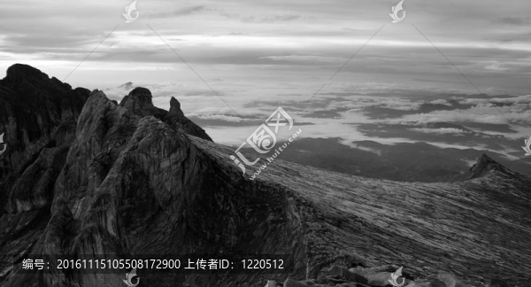 魯峰景