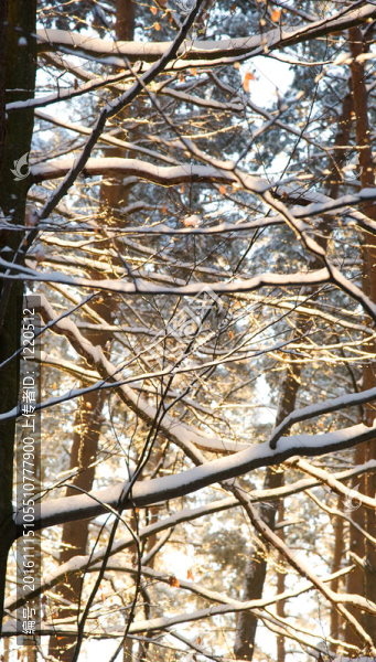 背光源-匯圖網(wǎng) www.fosd68.com 背光源